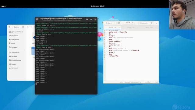 lab14 смотреть онлайн