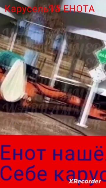 ЕНОТ НАШЁЛ СЕБЕ КАРУСЕЛЬ!! смотреть онлайн