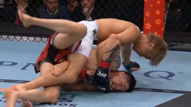 Лучшие моменты UFC 323