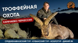 ГОРНАЯ ОХОТА НА ТУРОВ И ДИКОГО ЯКА В КАРАЧАЕВО-ЧЕРКЕСИИ