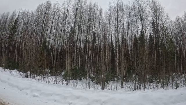 Охота с гончим на зайца смотреть онлайн