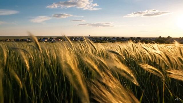 Гимн Чертково. смотреть онлайн