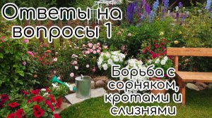 Борьба с сорняками, кротами и слизнями. Ответы на вопросы 1