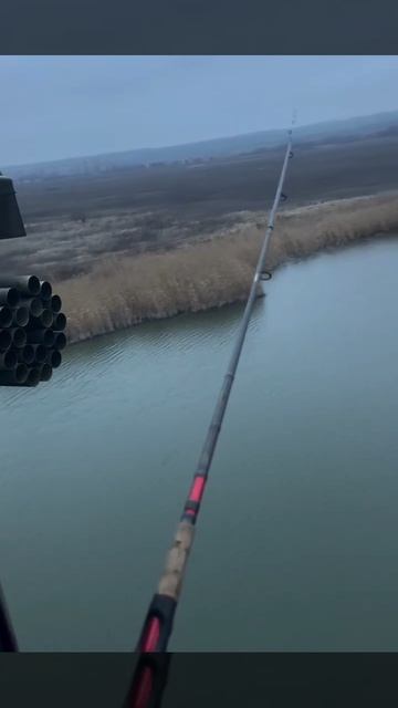 Ловим огромных щук! Рыбалка на дорожку (троллинг) штука универсальная и годится в любых ситуациях! смотреть онлайн