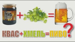 017_Квас + хмель = пиво ?