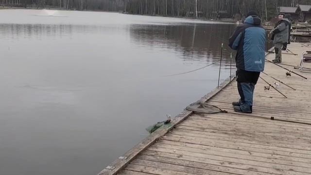 ОБЗОР смотреть онлайн