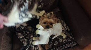 Пьём чай с пирожками ,занимаюсь уборкой дома.