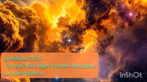 Декабрь 2025. Движемся дальше🤍