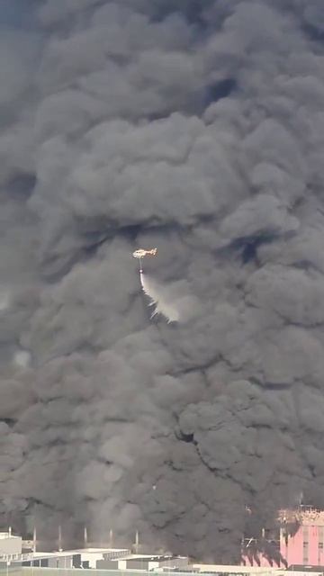 Когда ты просишь её успокоиться смотреть онлайн