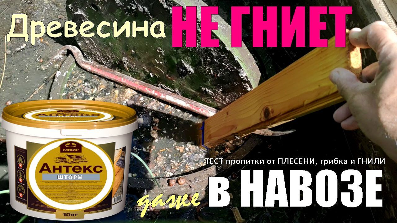 Жесткий ТЕСТ Антекс ШТОРМ и оценка качества защиты от плесени, грибка и ГНИЛИ в реальных условиях. смотреть онлайн