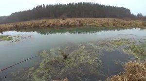 ТАКОГО Я ТОЧНО НЕ ОЖИДАЛ. НАТАСКАЛ ЩУК НА СПИННИНГ из микро речки. Рыбалка на спиннинг 2025