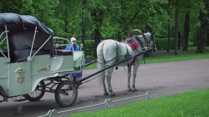 Павловское.  (7) Дворцово-парковый ансамбль .