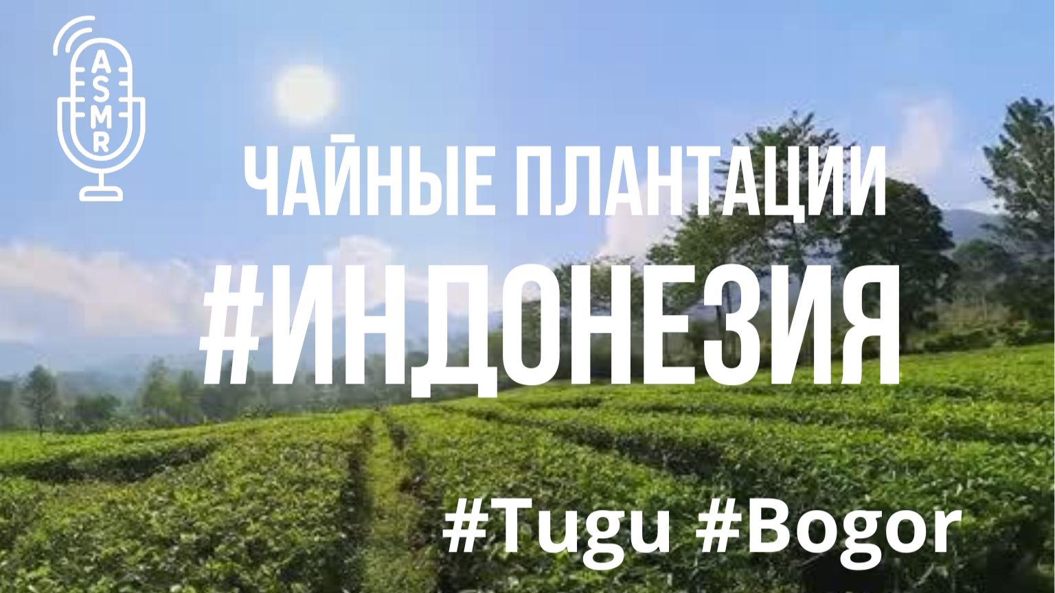 Видео для бега на беговой дорожке с окружающими звуками | Виртуальный бег по #Tugu #Bogor #Indonesia смотреть онлайн