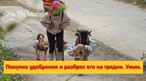 Muôn и друзья из Вьетнама. Покупка удобрения и разброс его на грядки. Ужин.