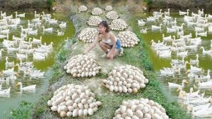 Ферма по разведению уток. Несёт много яиц. соберите много утиных яиц и продайте на деревенском рынке