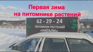 Первая зима на новом питомнике растений.
