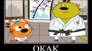 🖼 15 МИНУТ РЖАКИ ТРИ КОТА 😂 ПОПРОБУЙ НЕ ЗАСМЕЯТЬСЯ →  @youtubabot