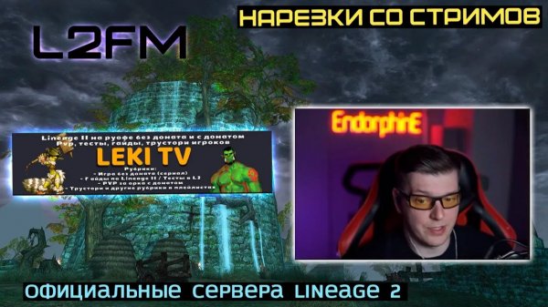 LINEAGE 2: ENDORPHINE ВЫСКАЗАЛСЯ ПРО САМОГО ИЗВЕСТНОГО БЛОГЕРА Л2 НА РУОФФЕ