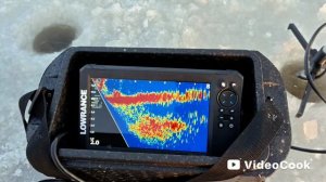 орлиный глаз зимой