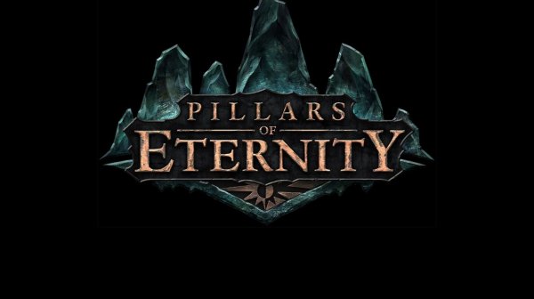 Pillars of Eternity #27