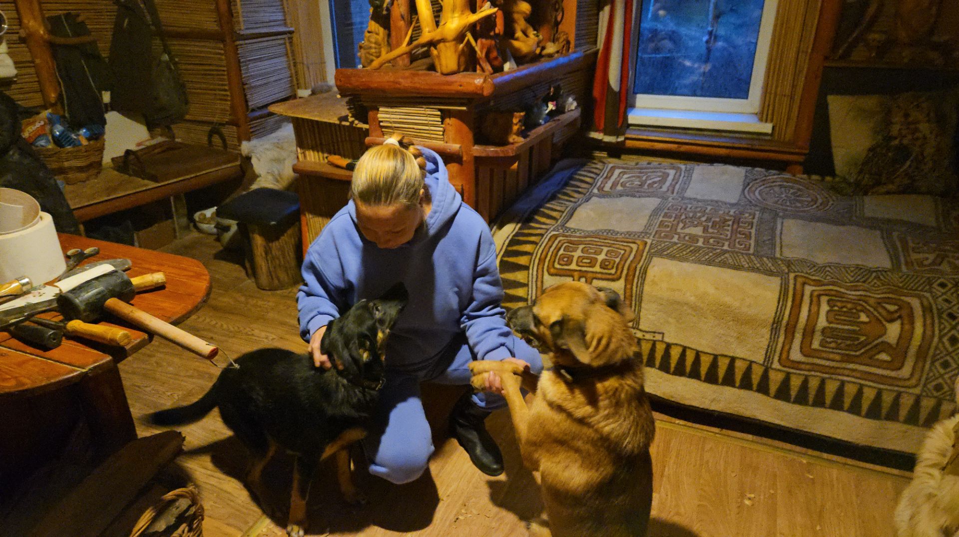 Серая верхолазка, Никины джунгли и внезапный визит смотреть онлайн