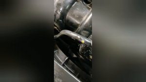 Кузовной ремонт кио рио