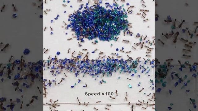 Такой концовки я и сам не ожидал (86) смотреть онлайн