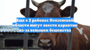 Еще в 2 районах Пензенской области могут ввести карантин из-за вспышек бешенства