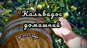 Домашний кальвадос или яблочное бренди. Приготовление и выдержка дубовой бочке.