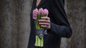 Гиацинты. Обработка, хранение, уход