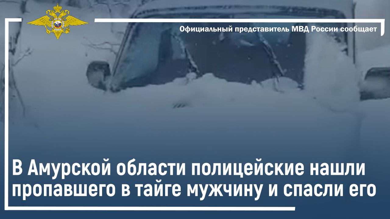 В Амурской области полицейские нашли пропавшего в тайге мужчину и спасли его смотреть онлайн