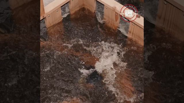 Мужской круг. Наши Игры смотреть онлайн