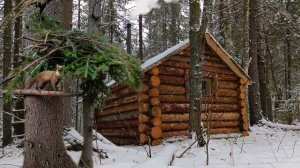 ОХОТА В ТАЙГЕ, ПЕРВАЯ УДАЧА. ПРОВЕРЯЮ ПУТИК, СОБИРАЮ ГРИБЫ!