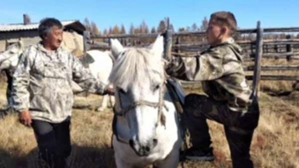 Сылгыһыттар