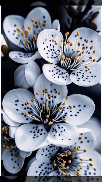 Футаж. Белые цветы. смотреть онлайн