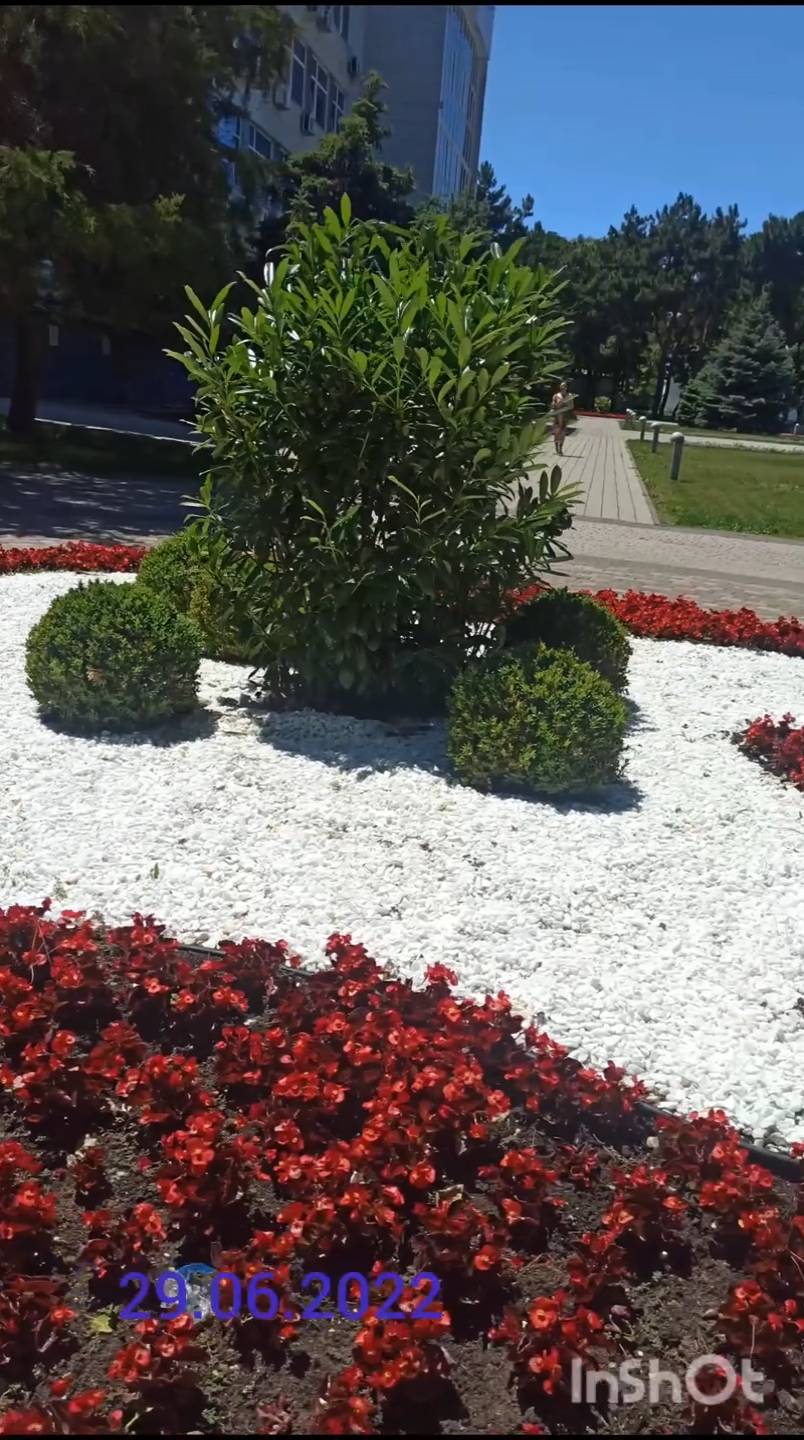 Анапа 29.06.2022