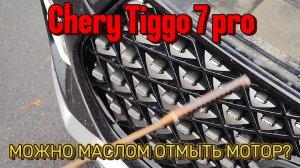 Можно отмыть отложения а моторе, обычным маслом?