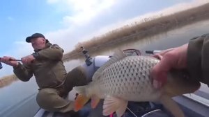 РЫБЫ ТОННЫ - ЛОВЯТ ВСЕ!!! РЫБАЛКА НА СУДАКА ВЕСНОЙ