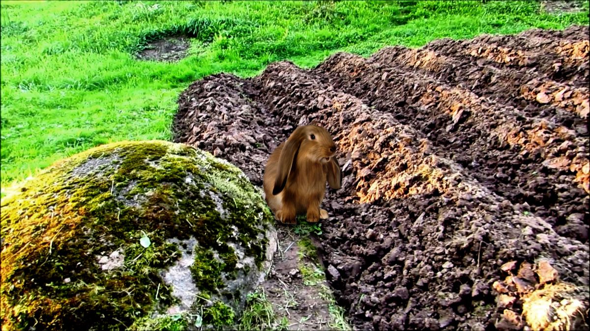 Сентябрь. Грядки перекопаны. смотреть онлайн