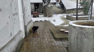 Первый снег 9.12.25