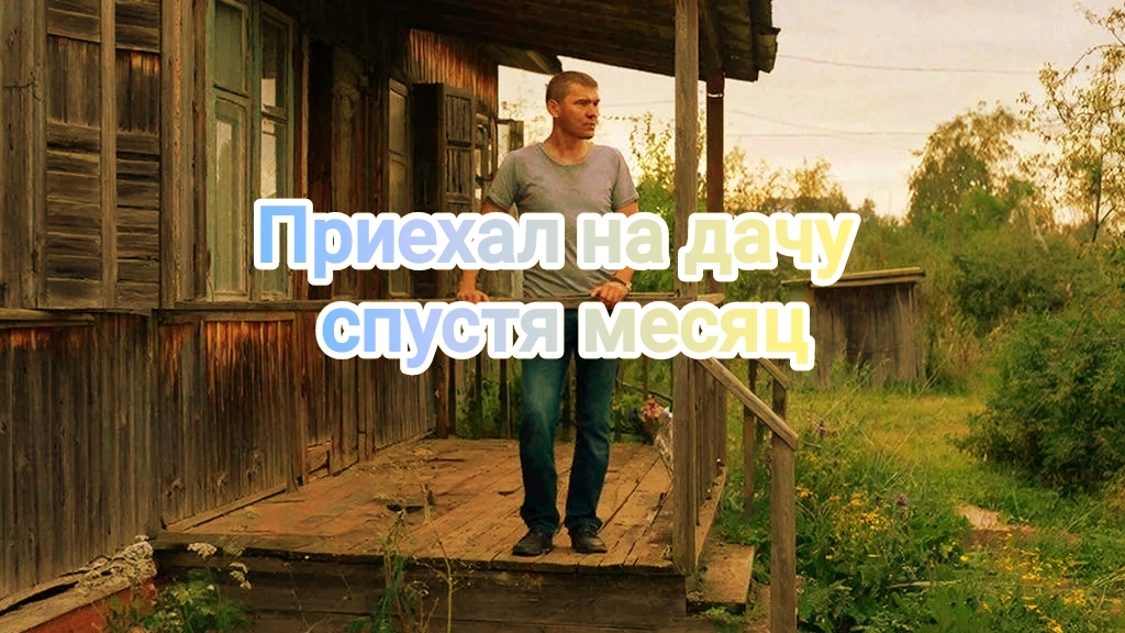 Приехал на дачу спустя месяц | Дачный Вайб | Дача | Отдых на природе | Сельский туризм | Отдых смотреть онлайн