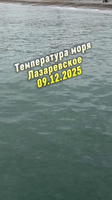 Температура моря! Лазаревское 09.12.2025. смотреть онлайн