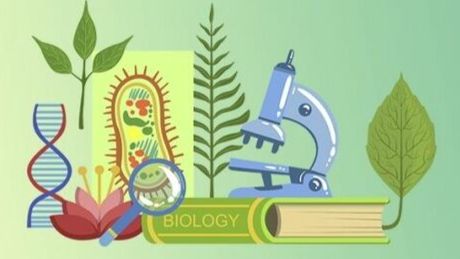 Биология 9 класс. Критерии вида. смотреть онлайн