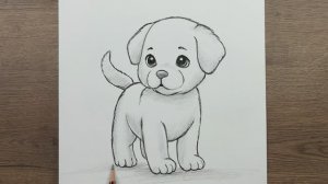 Как нарисовать очаровательную Cобачку карандашом - пошаговое руководство для начинающих