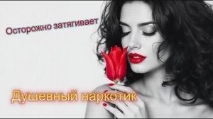 ИДИ И СМОТРИ -  КЛИПЫ для ДУШИ - TOP   Music Videos #русские_песни #песнидлядуши #музыка #music