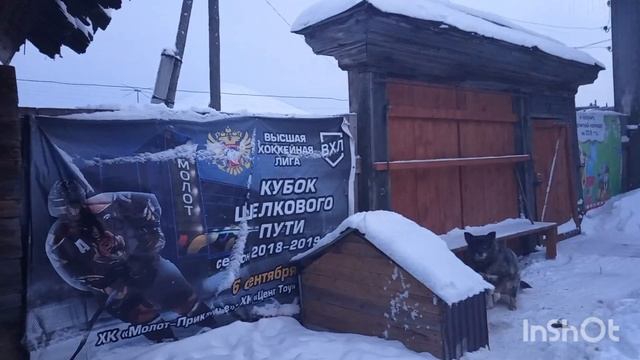 9-12-2025. Жизнь в деревне. Настряпала пироги. смотреть онлайн