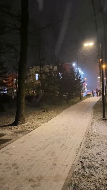 ❄️В некоторых районах Москвы и Подмосковья пошел снег❄️ смотреть онлайн