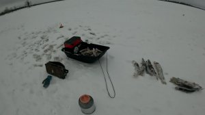 Рыба капризная и хитрая но свою мы всё же поймали.