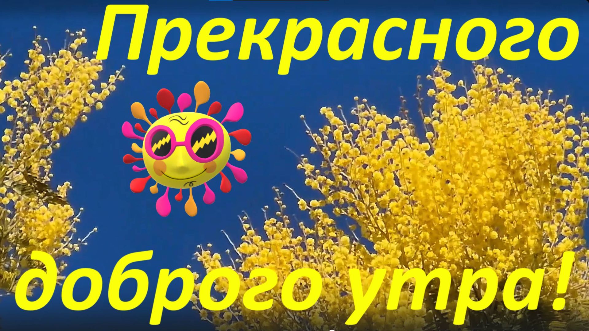 Прекрасного доброго утра! Пожелание! смотреть онлайн