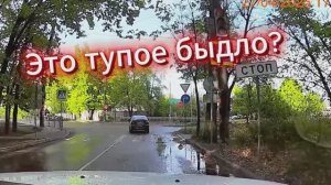 Так поступает быдло? Конечно! Видео от Олега из Воронежа.